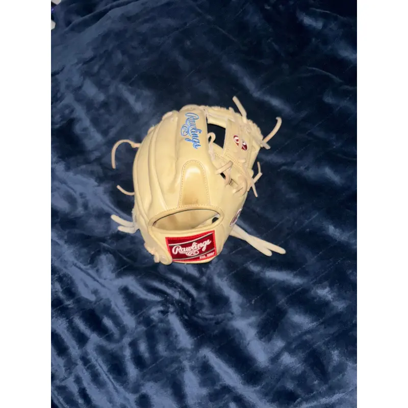 Custom Rawlings heart of the hide 11.5