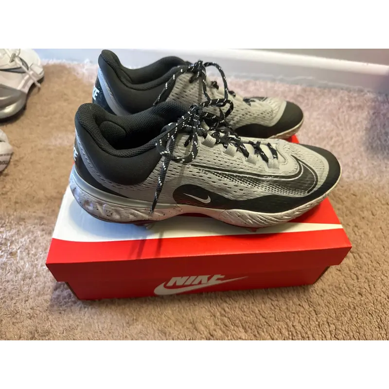 Men's Size M 11.5 (W 12.5) Nike (Used)