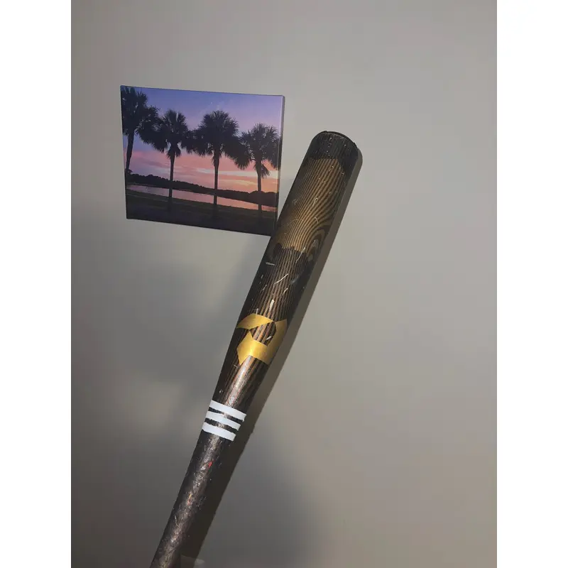 Demarini Voodoo One