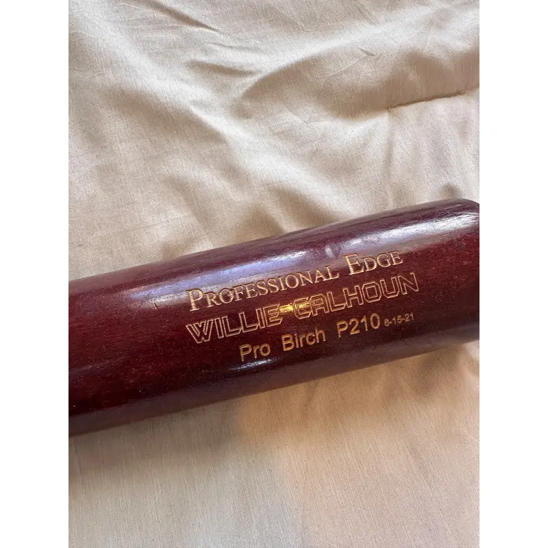 Willie Calhoun Personal Bat