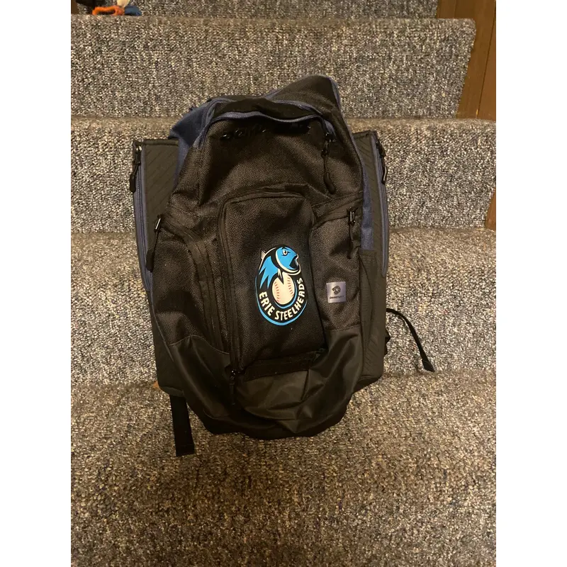 Demarini baseball bag