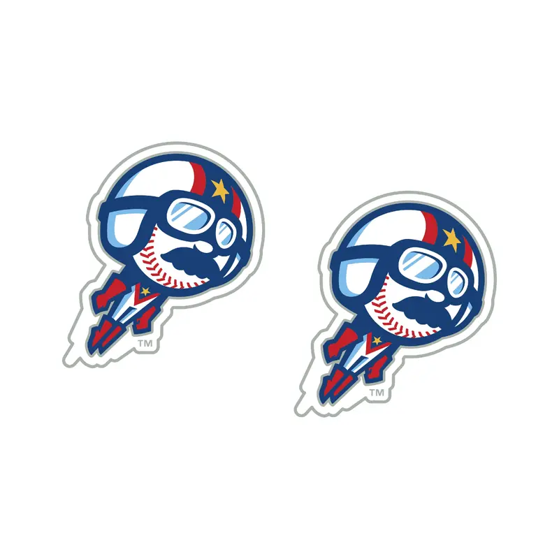 Boomer Post Earrings