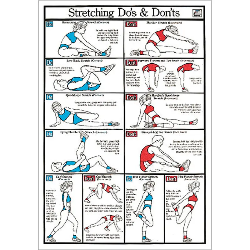 Stretching Do's and Don'ts Fitness Flexibility Wall Chart Poster - Fitnus Corp.