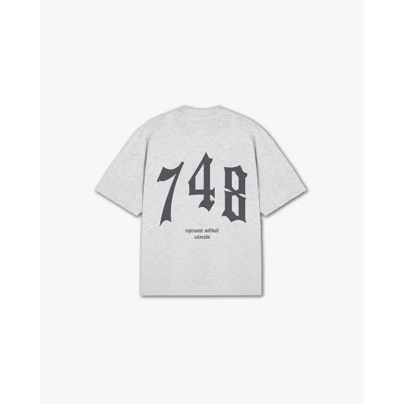 THE (748) VANQUISH SOFTBALL V2 ELITE TEE