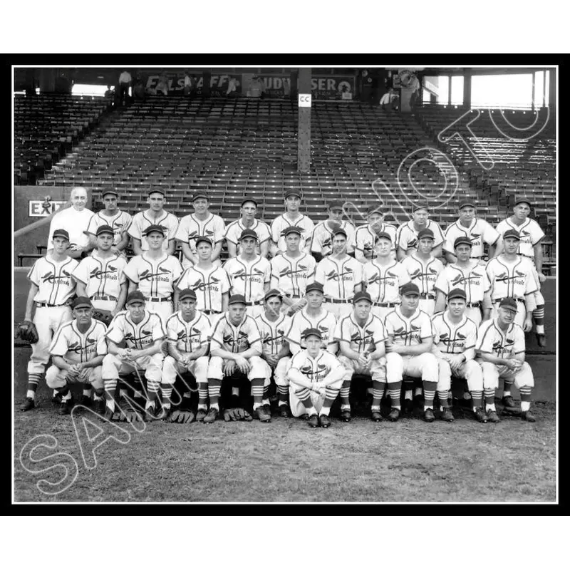 1941 St. Louis Cardinals 8X10 Photo - Stan Musial - 1444