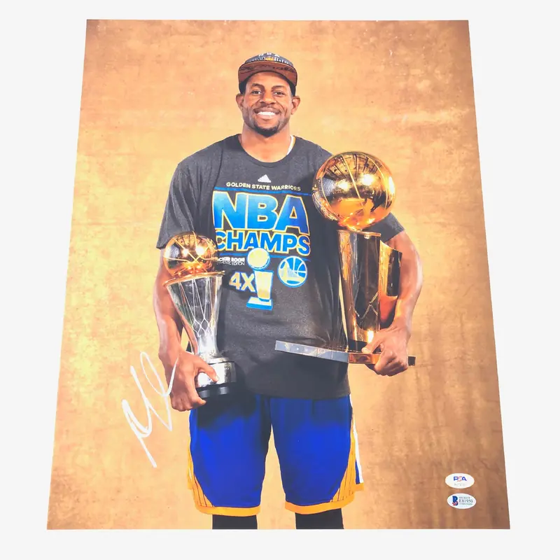 Andre Iguodala signed 16x20 photo PSA/DNA Golden State Warriors Autographed