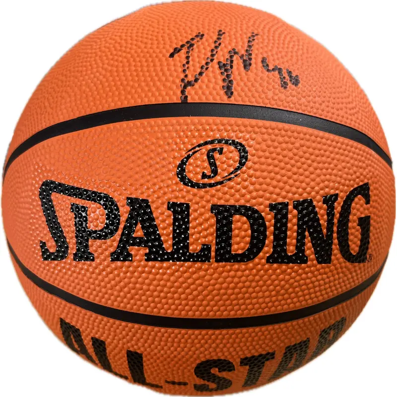 Zach Randolph Signed Basketball PSA/DNA Autographed Memphis Grizzlies