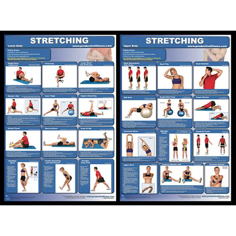 Exercise Stretching Professional Fitness Instructional Wall Charts (2) Posters - PFP
