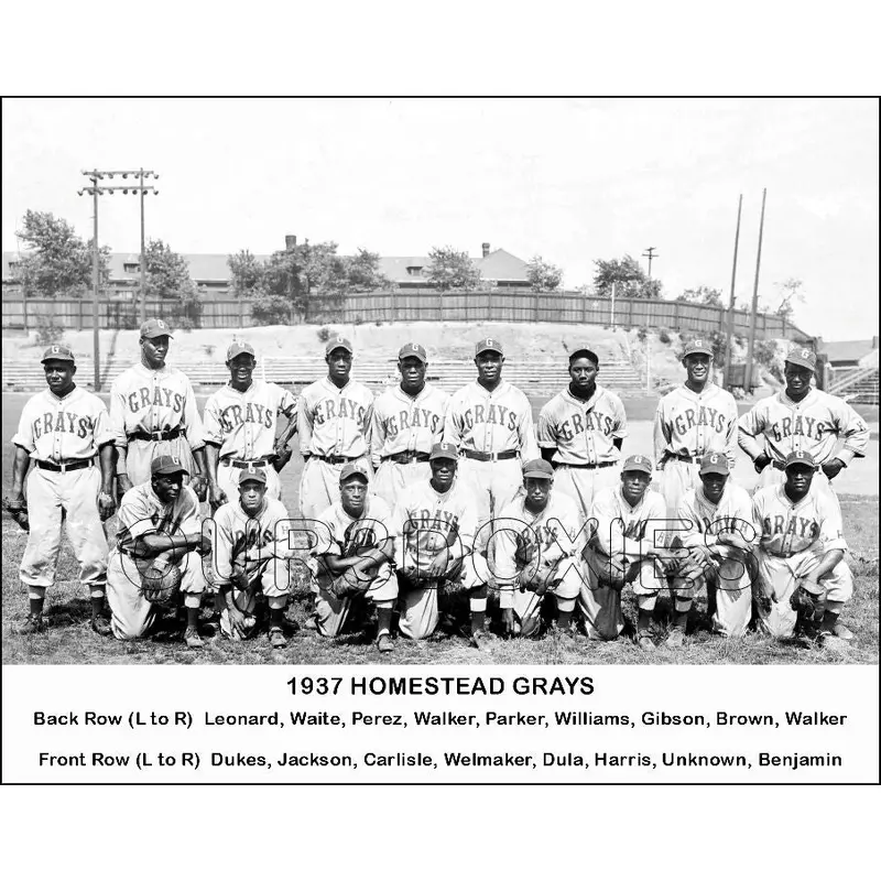 1937 Homestead Grays 11X14 Photo - Gibson Dandridge Leonard Day - 1230