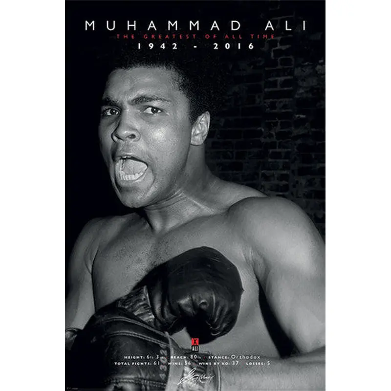 Muhammad Ali Boxing "Shout" Commemorative (1942-2016) Poster - Pyramid International