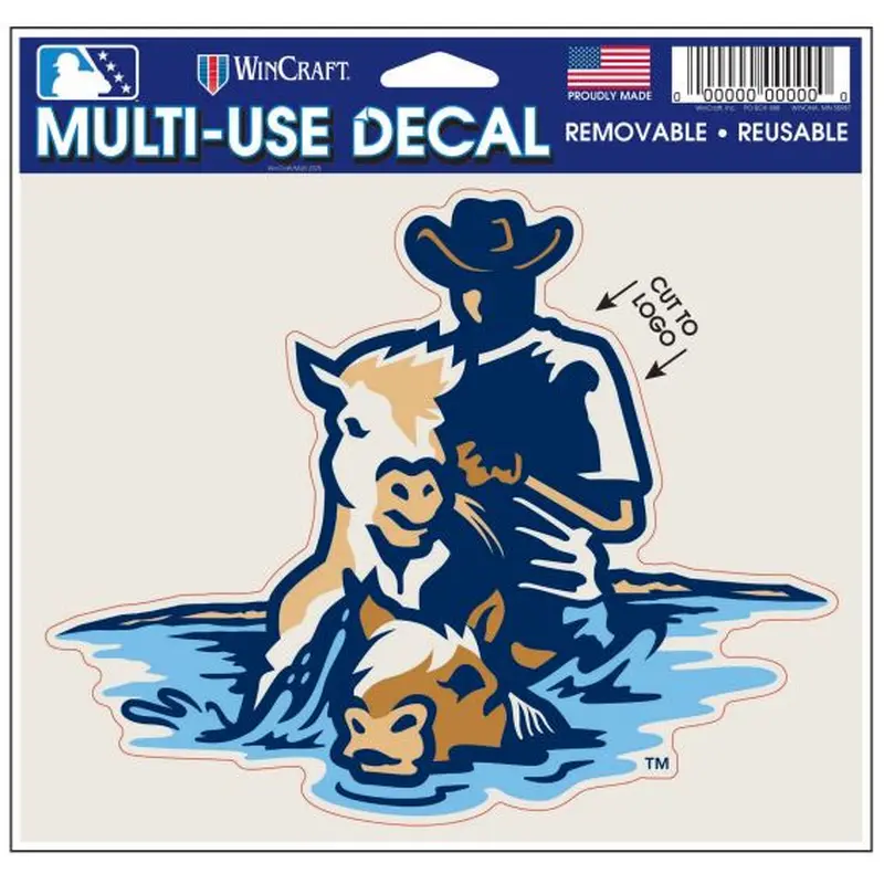 Delmarva Shorebirds Wincraft Wild Ponies Decal