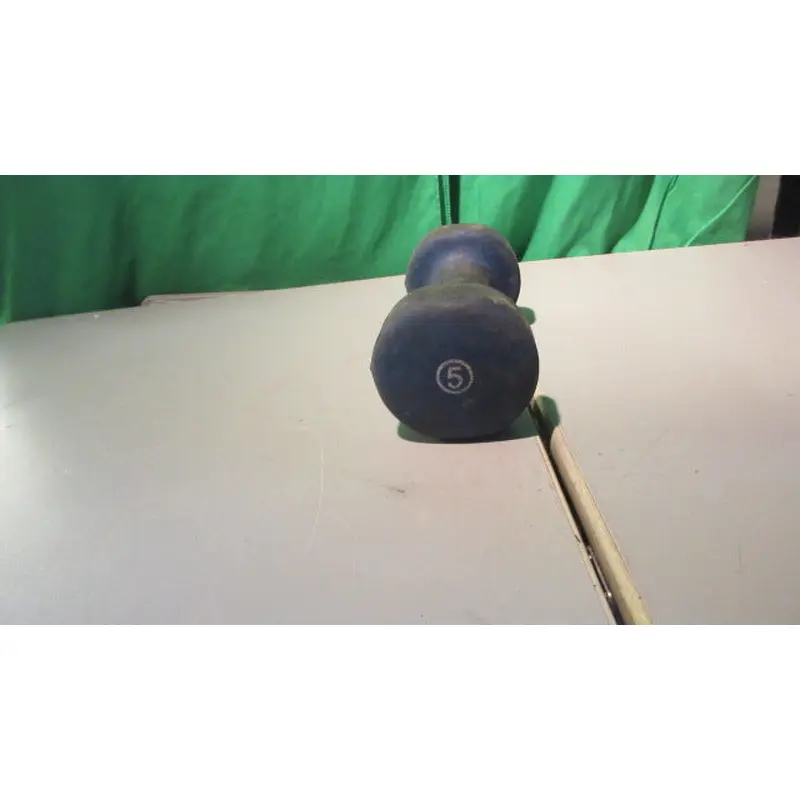 Used 5 lb Blue Neoprene Dumbbell