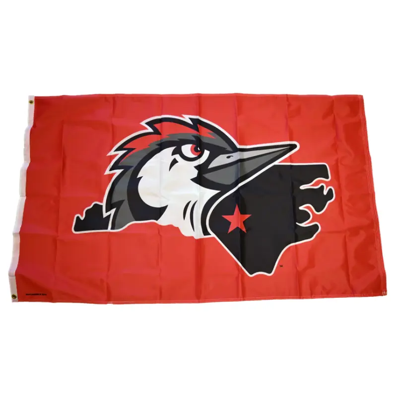 Fayetteville Woodpeckers Wincraft Sports Alternate Logo 3 x 5 Flag