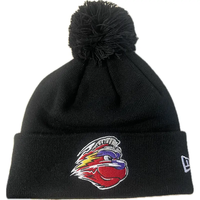 2024 Winston-Salem Dash Marvels Defenders of the Diamond Knit Beanie