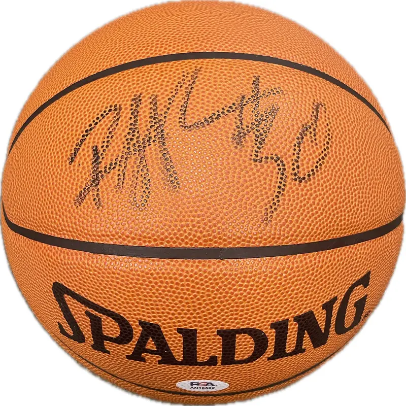 Rasheed Wallace signed Basketball PSA/DNA autographed