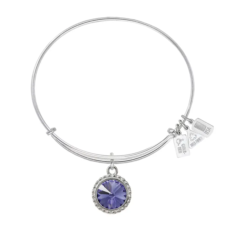 Earth's Elements TANZANITE Charm Bangle
