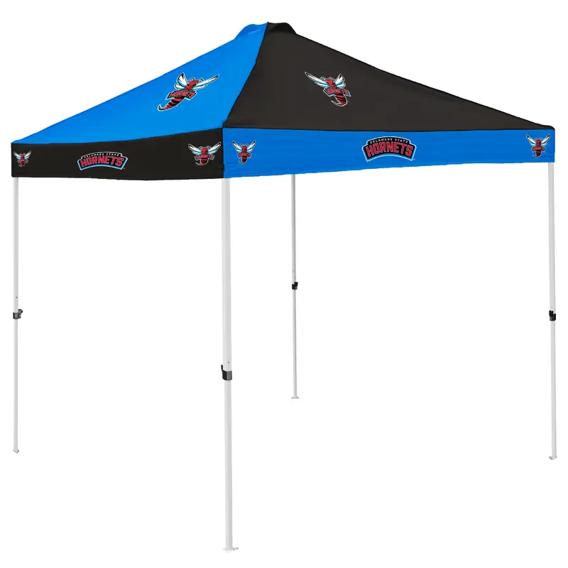 Delaware State Checkerboard Canopy