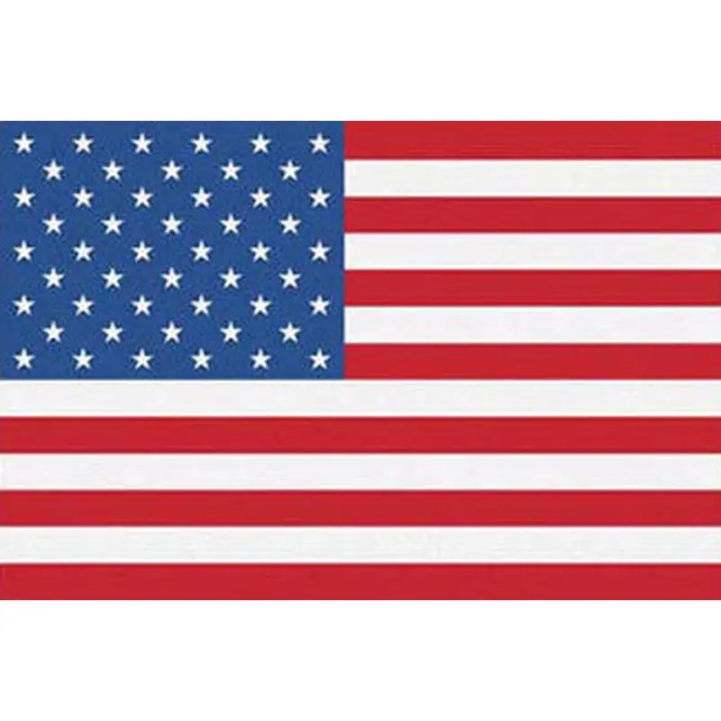 US Flag Poster - Trends International