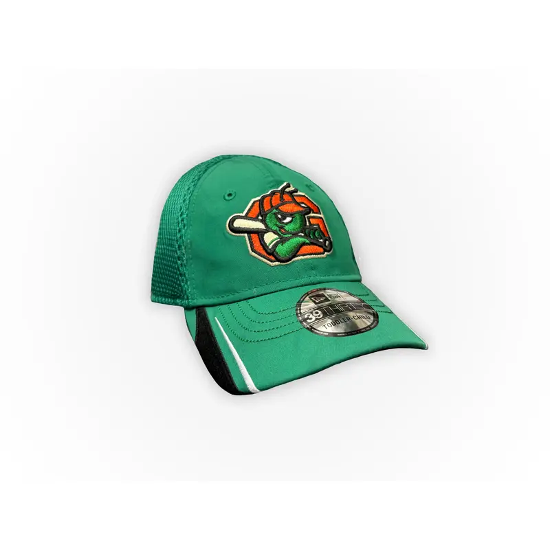 New Era Youth 39THIRTY Linear Cap