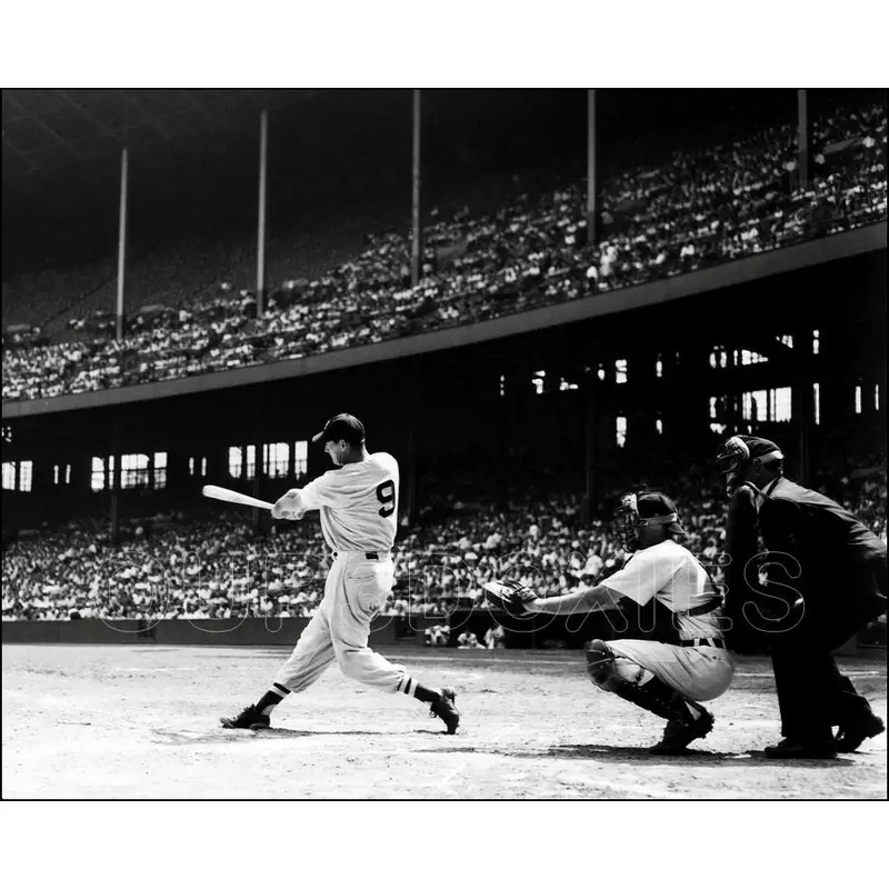 Ted Williams 8X10 Photo - Boston Red Sox - 3315