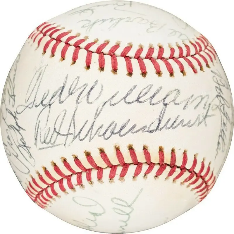 Ted Williams Stan Musial Carl Yastrzemski HOF Multi Signed Baseball PSA DNA COA