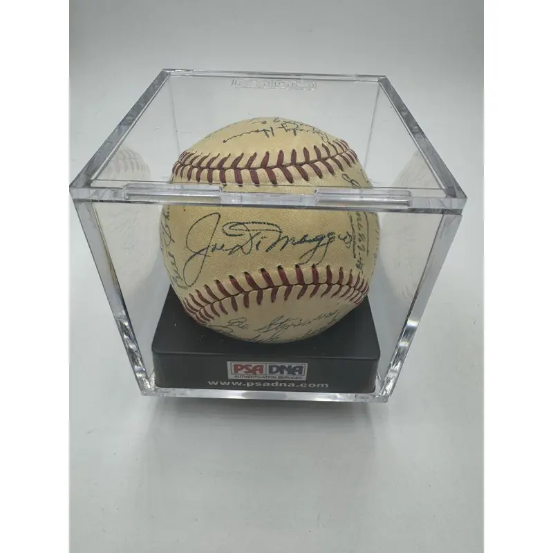 1946 New York Yankees Team Signed American League Baseball Joe Dimaggio PSA DNA
