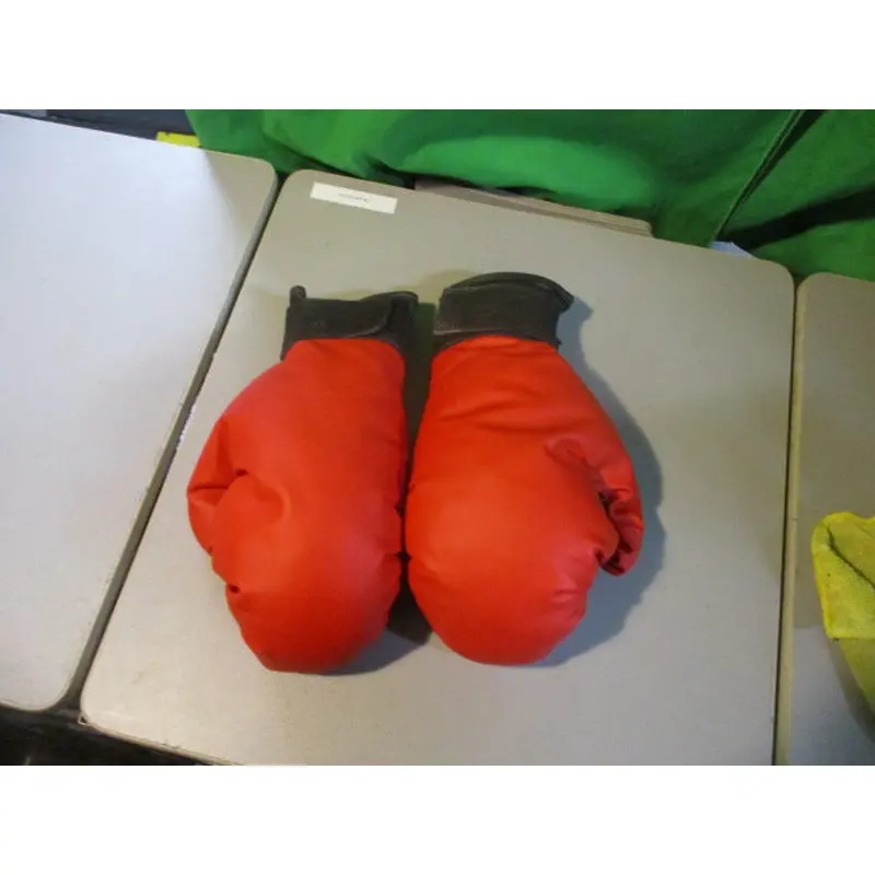 Used Youth Boxing Gloves (Tear Inside Glove See Photos)