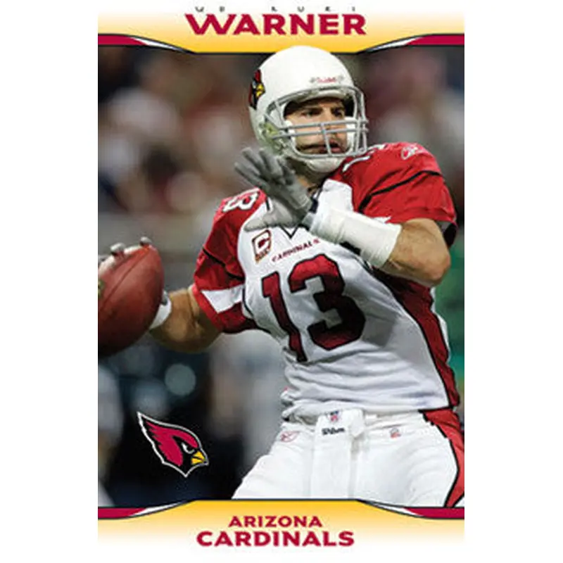 Kurt Warner "In Flight" Arizona Cardinals NFL Action Poster - Costacos 2009