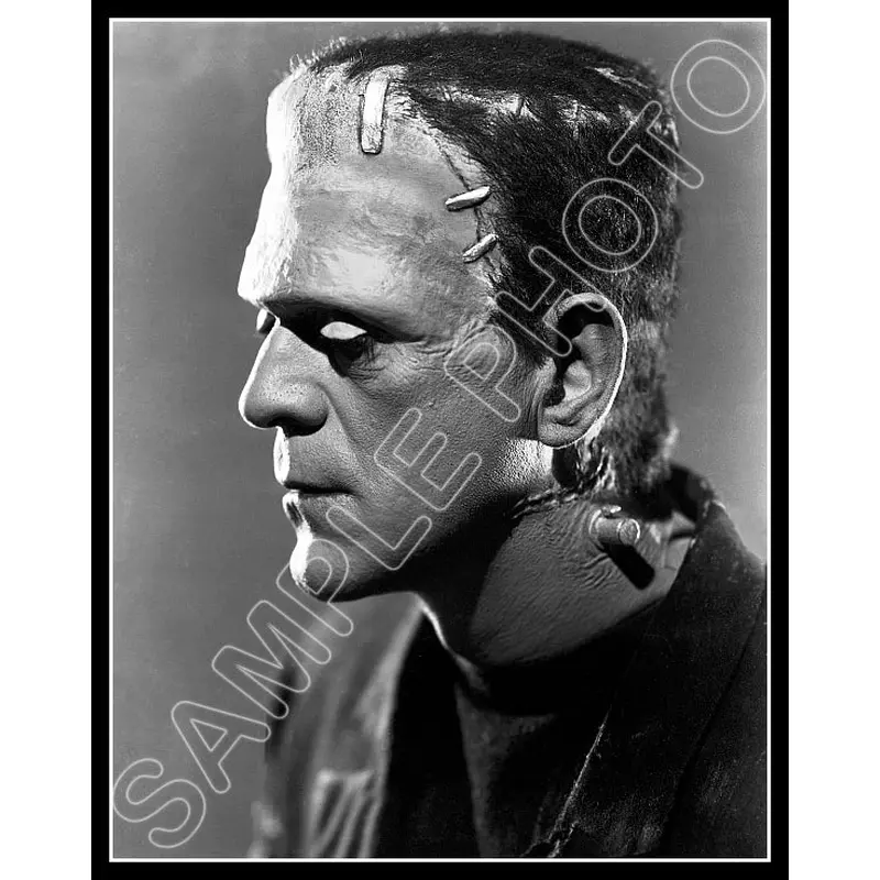 1935 Boris Karloff 11X14 Photo - Bride Of Frankenstein - 3198