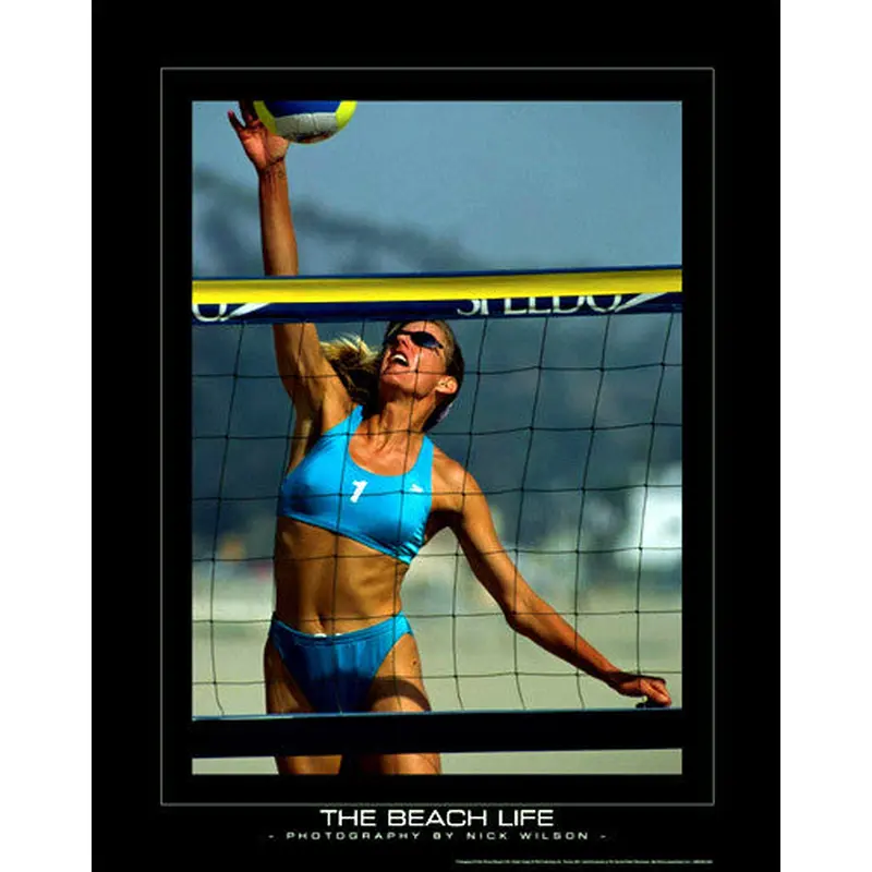 "The Beach Life" (At the Net) - SportsPosterWarehouse.com