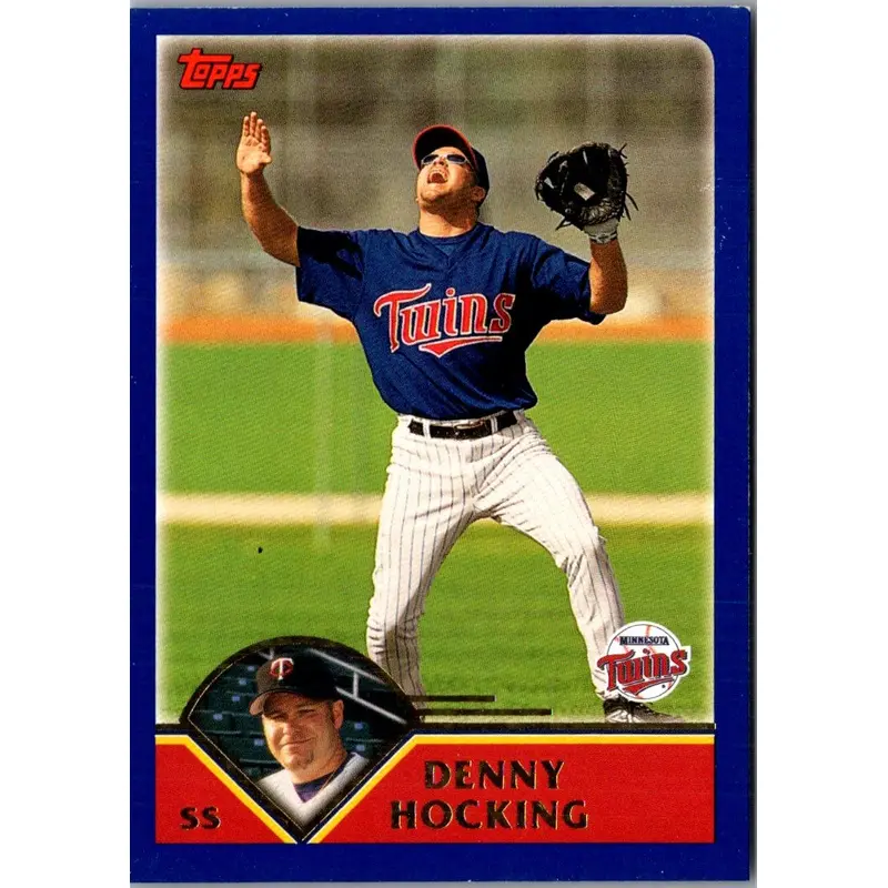 2003 Topps Home Team Advantage Denny Hocking #238