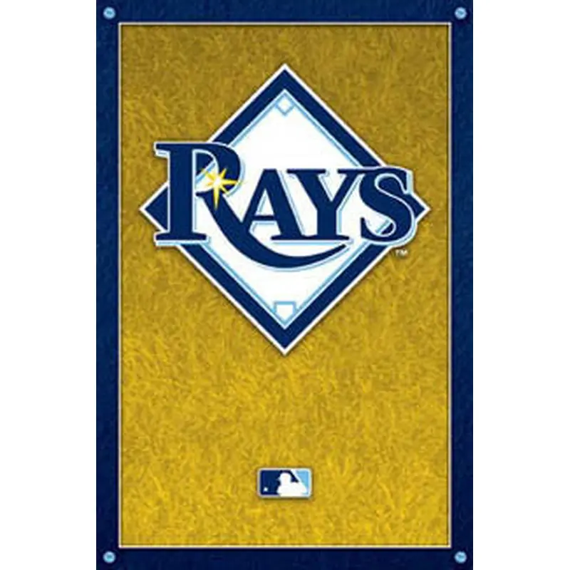 Tampa Bay Rays Baseball Official Logo Poster - Costacos