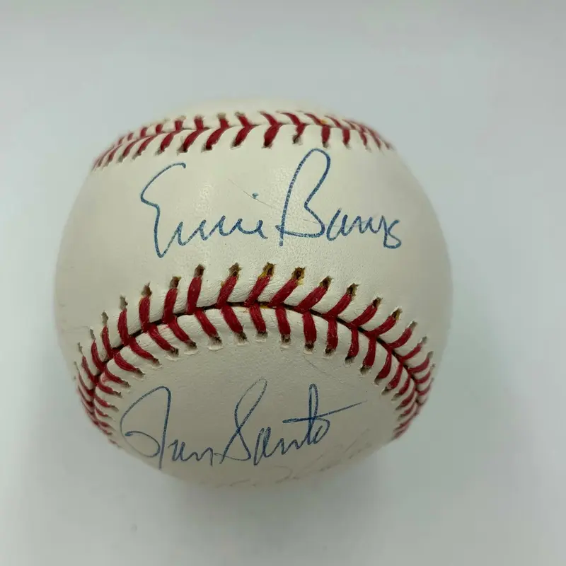 Rare 1969 Chicago Cubs Team Signed Baseball Ernie Banks Billy Williams Santo JSA